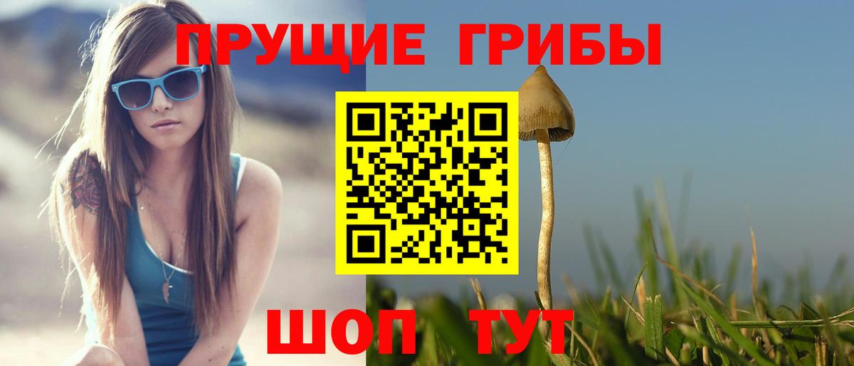 Псилоцибиновые грибы прущие грибы  Вход с VPN  Губкин  продажа наркотиков  Псилоцибиновые грибы Psilocybine cubensis 